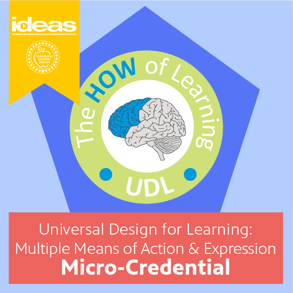 Universal Design for Learning: Multiple Means of Action and Expression