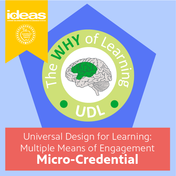 Universal Design for Learning: Multiple Means of Engagement