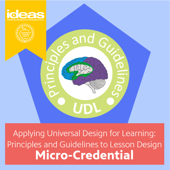 Applying Universal Design for Learning Principles and Guidelines to Lesson Design