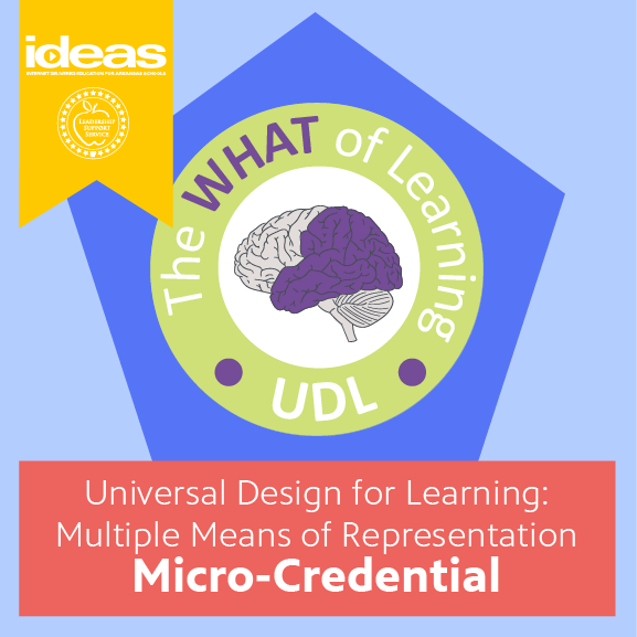 Universal Design for Learning: Multiple Means of Representation